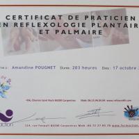 Certificat de Praticien en Réflexologie