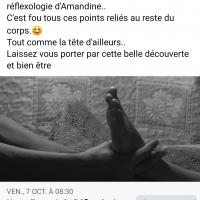 Commentaire